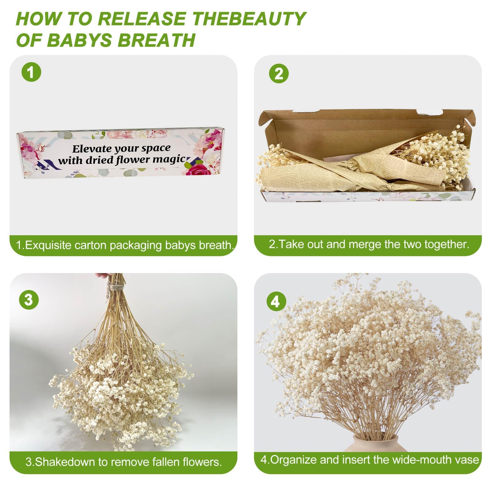 Amazon.com: 2000+ Dried Babys Breath Flowers Bulk - 17